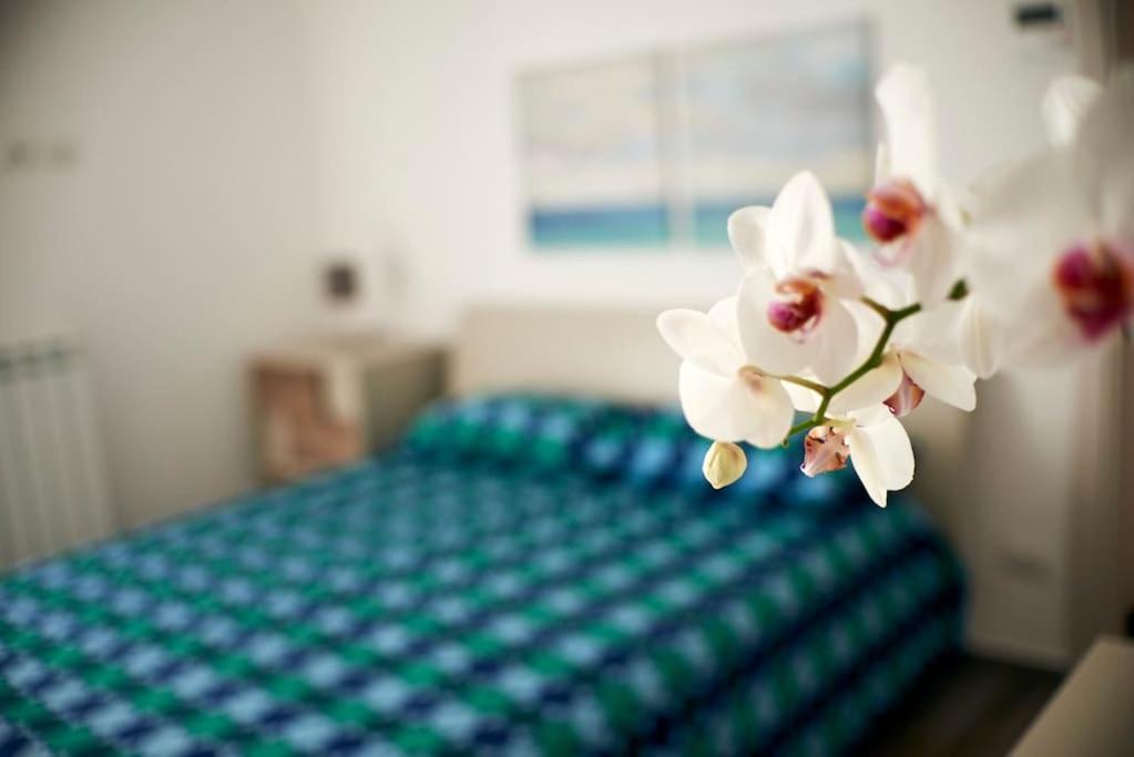 San Vito Apartament Polignano a Mare Zewnętrze zdjęcie