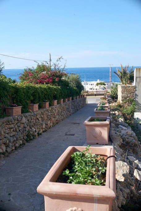 San Vito Apartament Polignano a Mare Zewnętrze zdjęcie